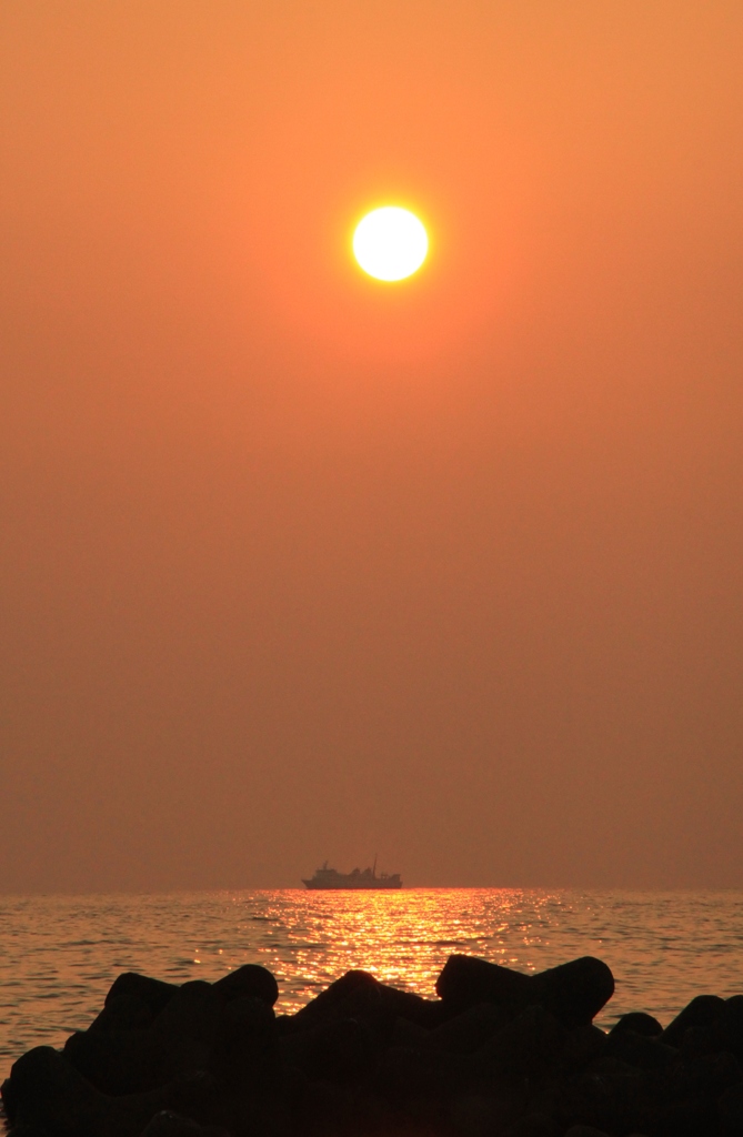 夕日を浴びて
