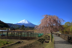 富士山が見える里