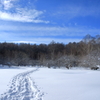 雪原歩き