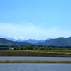 my hometown