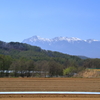 高原野菜畑