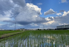 大きな雲