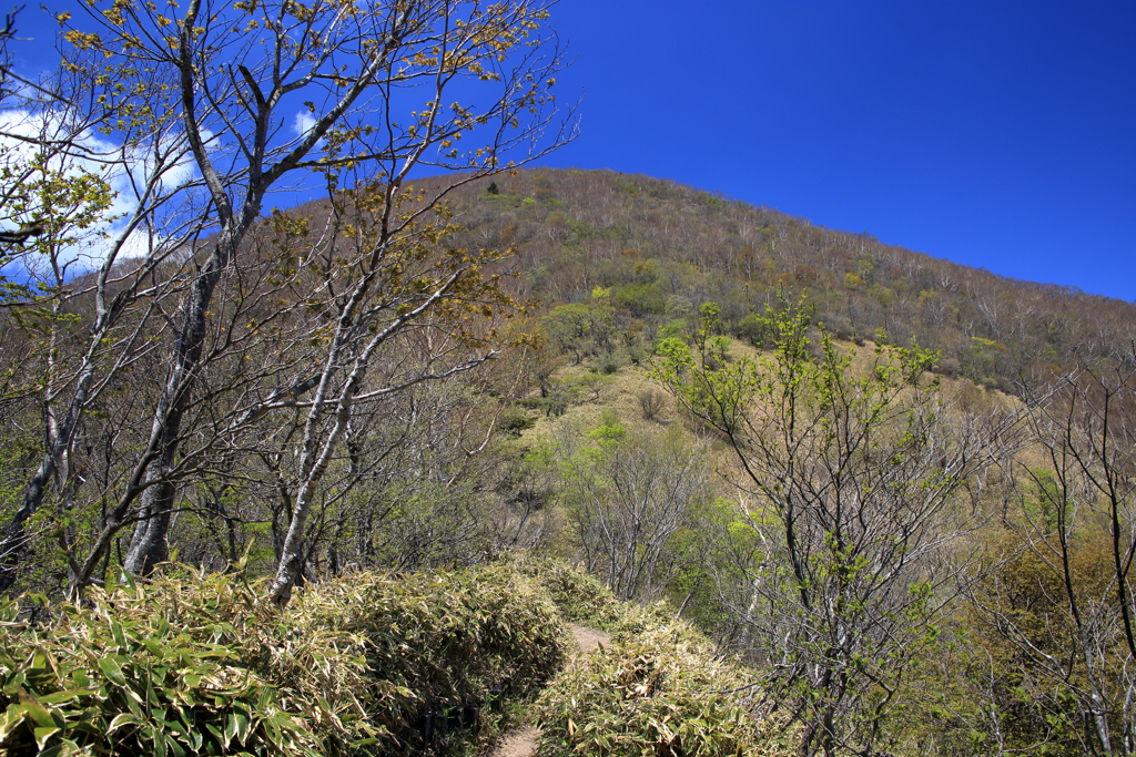 赤城山登山