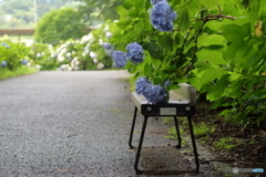 雨上がり