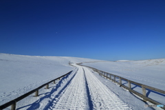 snowy road