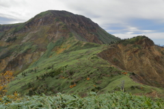苗場の山容