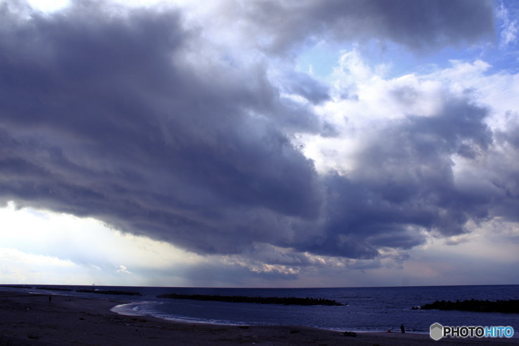 冬の海