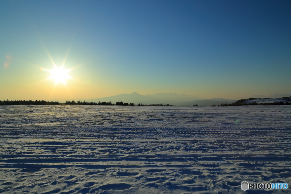 雪原の目覚め