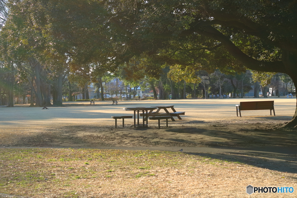 冬の公園