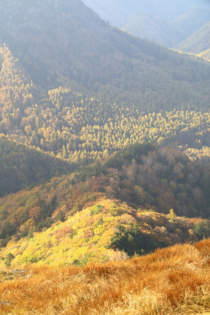 紅葉の山
