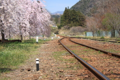線路と桜