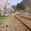 線路と桜
