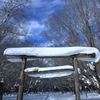 雪に覆われた鳥居