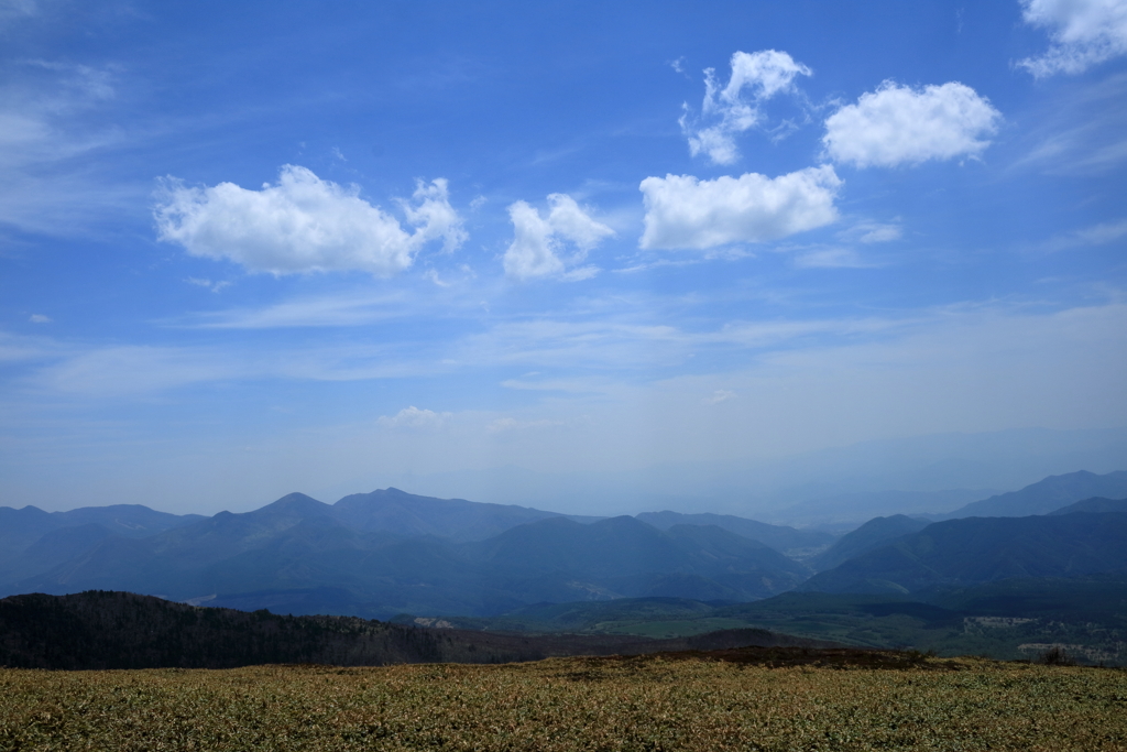 夏の雰囲気