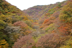 秋の碓氷峠