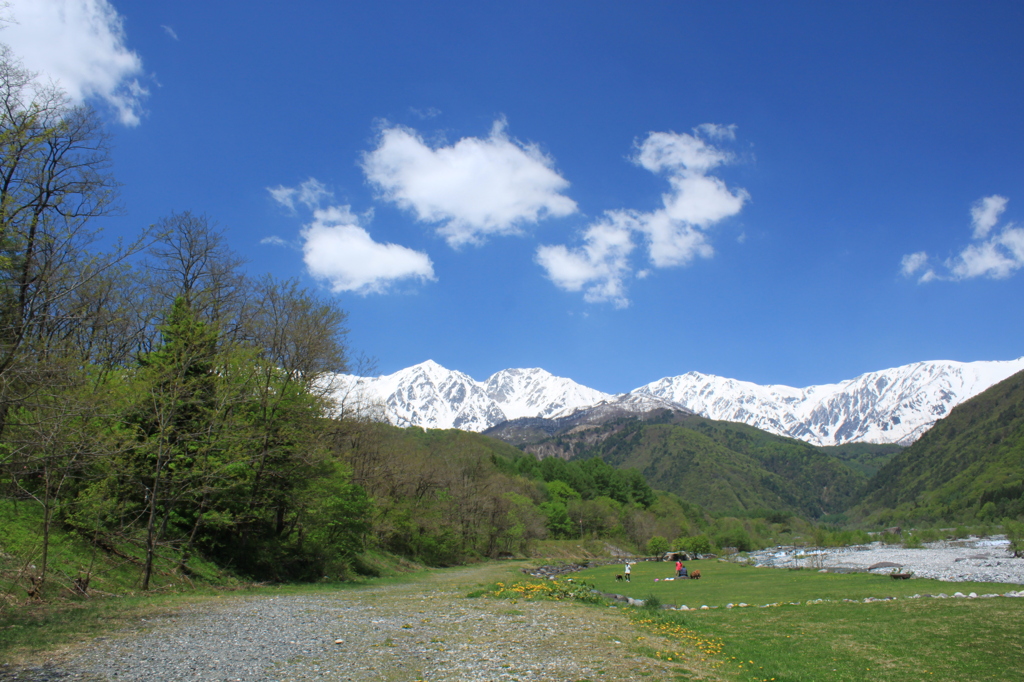 白馬の空気