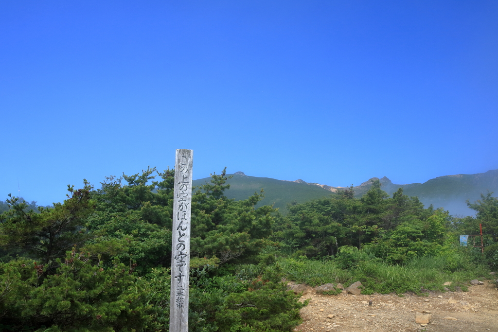 ほんとの空