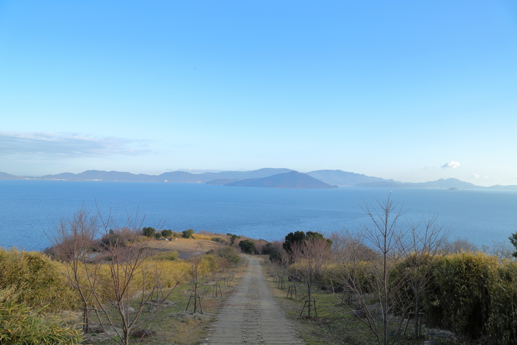 駆け出したくなる坂道