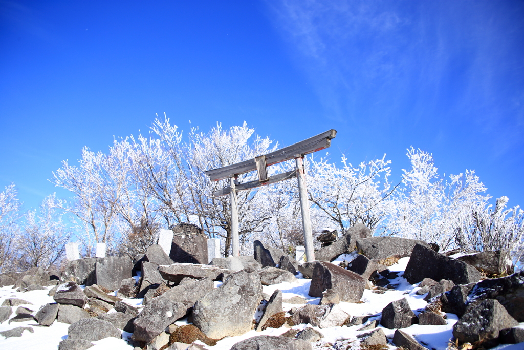 今年の初詣