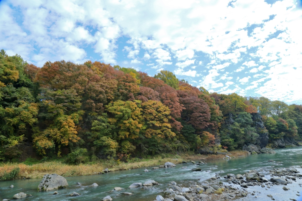 川のほとりの紅葉