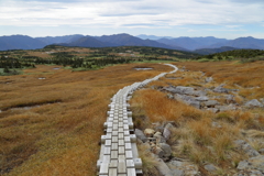山頂台地の湿原