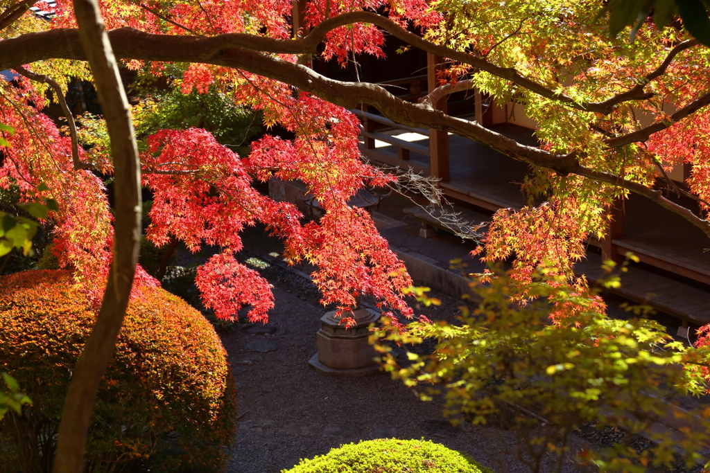 紅葉寺