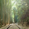 竹林の廃線