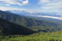 色付き始めた森