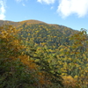 彩る山