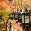 紅葉と釣灯篭
