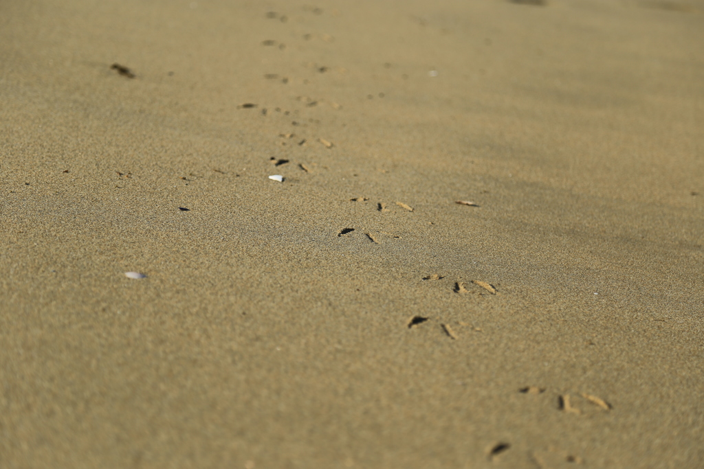 footprints