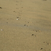 footprints