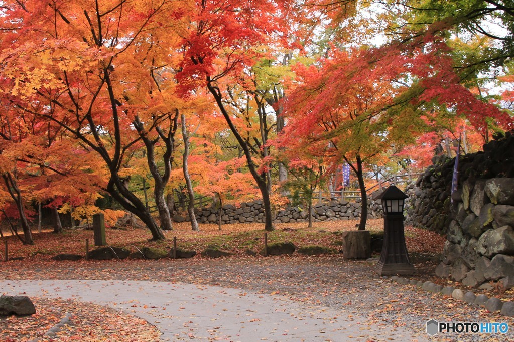 懐古園の紅葉