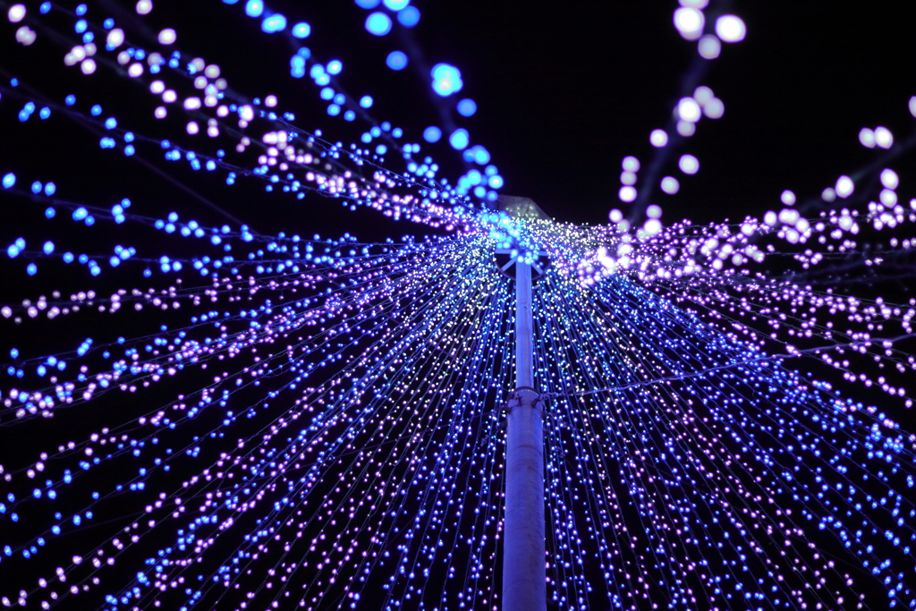 Illumination tree