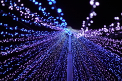 Illumination tree