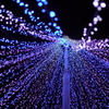 Illumination tree