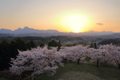 沈む夕日と桜の公園
