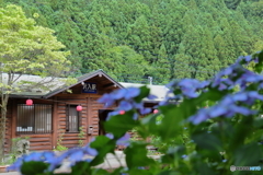 あじさいの駅