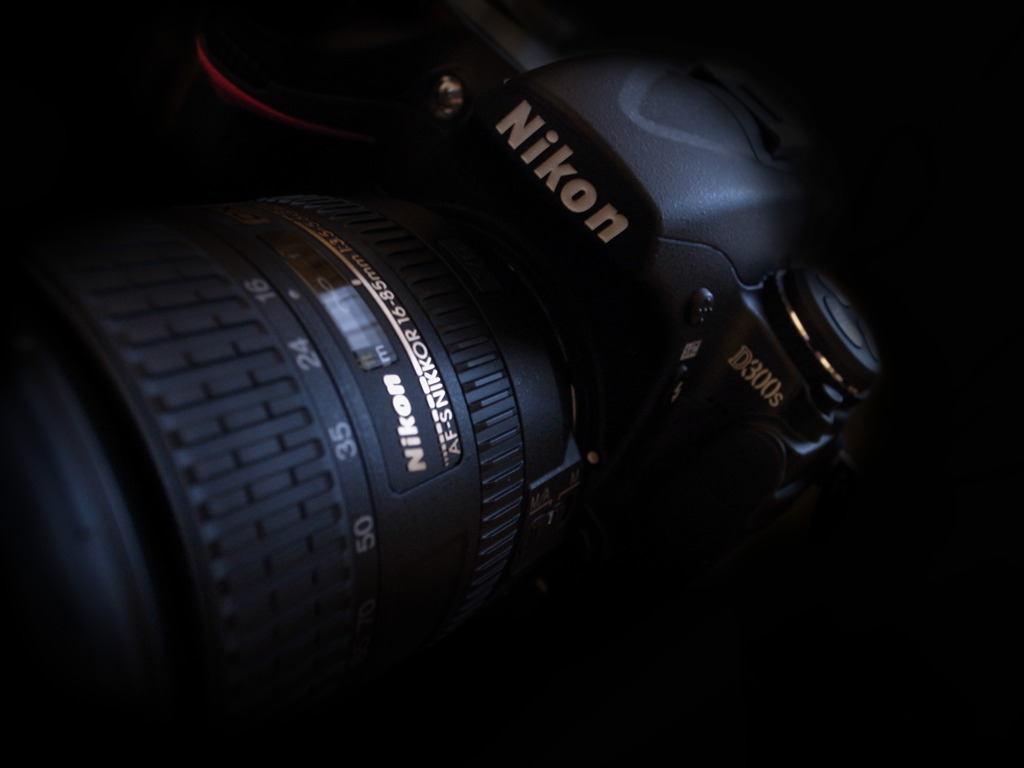 D300s