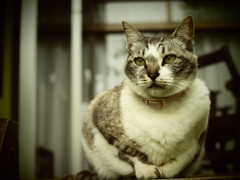 狩人