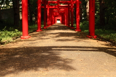 赤、連なって