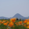 DSC00053