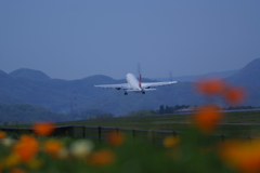 離陸