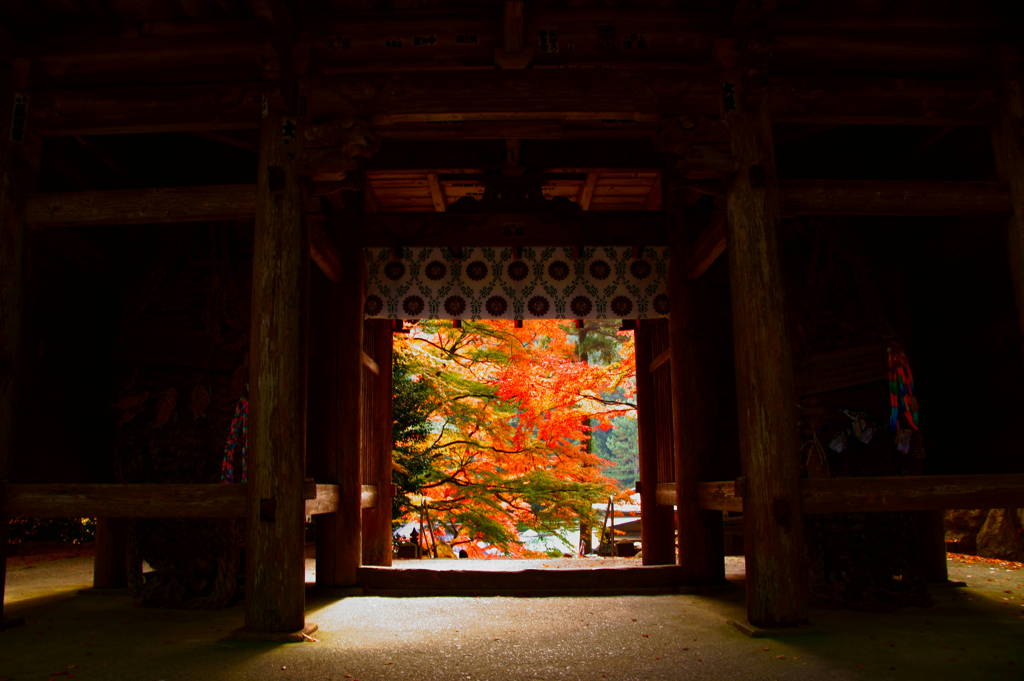 結願寺-大窪寺の紅葉