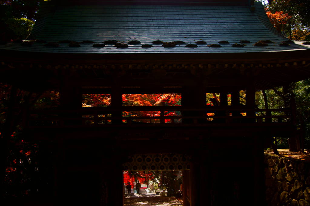 結願寺-大窪寺の紅葉