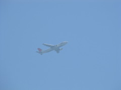 羽田空港から