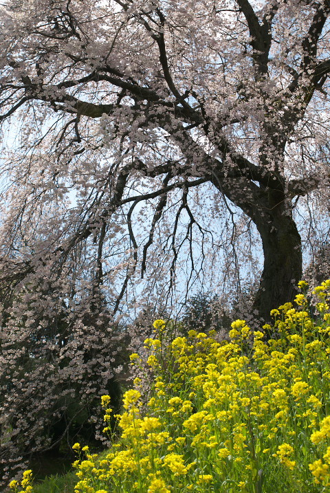 201004030331[1]