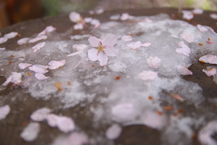 201004170089[1]
