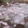 201004170089[1]