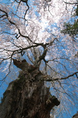 201004170186[2]